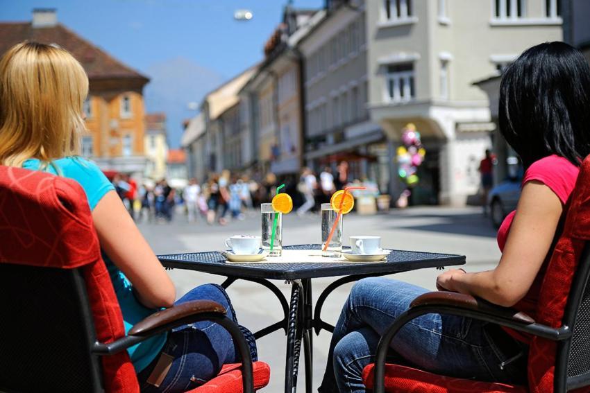 Guesthouse Stari Mayr Крань Экстерьер фото