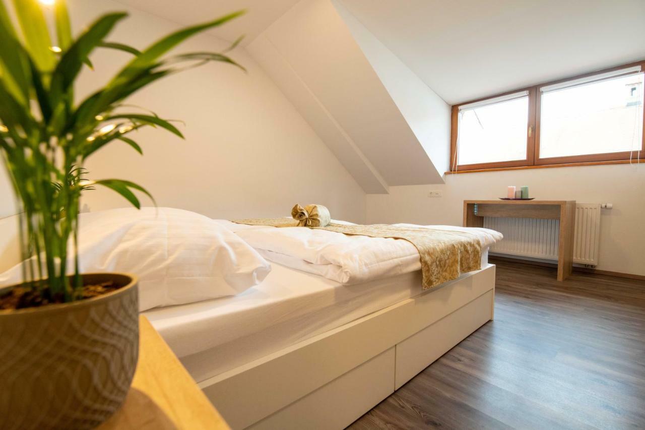 Guesthouse Stari Mayr Крань Экстерьер фото